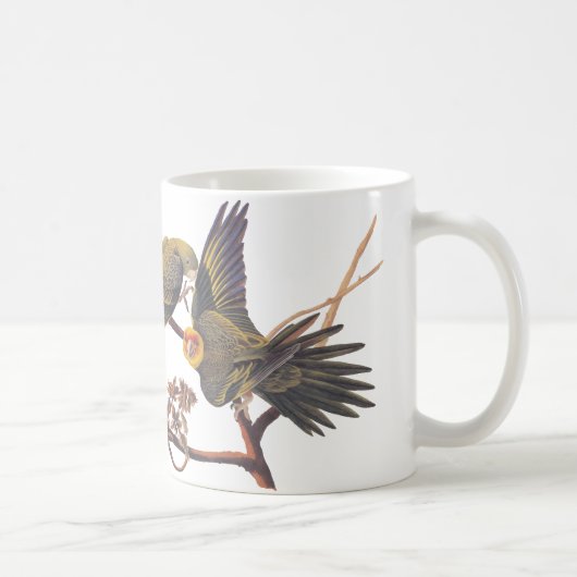 Audubon Carolina Parakeet Tasse (Rechts)