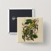 Audubon Carolina Parrot Bird Illustration Button (Vorne & Hinten)