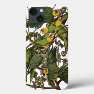 Audubon Carolina Parrot Bird Illustration Case-Mate iPhone Hülle