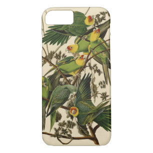 Audubon Carolina Parrot Bird Illustration Case-Mate iPhone Hülle