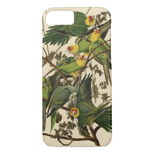 Audubon Carolina Parrot Bird Illustration Case-Mate iPhone Hülle (Rückseite)
