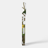 Audubon Carolina Parrot Bird Illustration Case-Mate iPhone Hülle (Rückseite / Rechts)