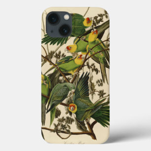Audubon Carolina Parrot Bird Illustration Case-Mate iPhone Hülle