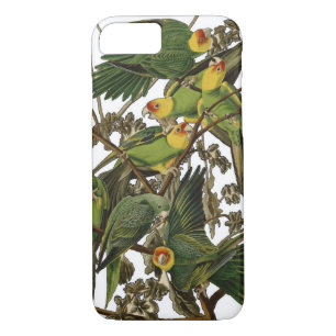 Audubon Carolina Parrot Bird Illustration iPhone 8/7 Hülle