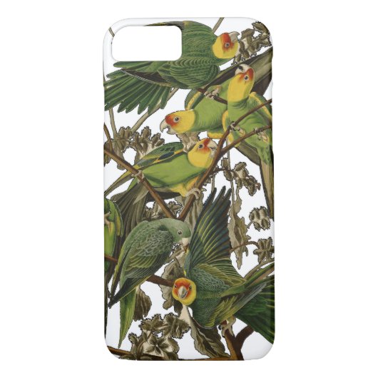 Audubon Carolina Parrot Bird Illustration Case-Mate iPhone Hülle (Rückseite)