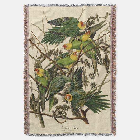 Audubon Carolina Parrot Bird Illustration Decke (Vorderseite Vertikal)