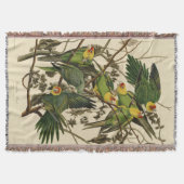 Audubon Carolina Parrot Bird Illustration Decke (Vorderseite)