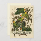 Audubon Carolina Parrot Bird Illustration Einladung (Vorne/Hinten)