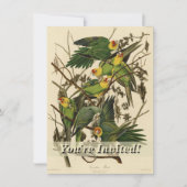 Audubon Carolina Parrot Bird Illustration Einladung (Vorderseite)