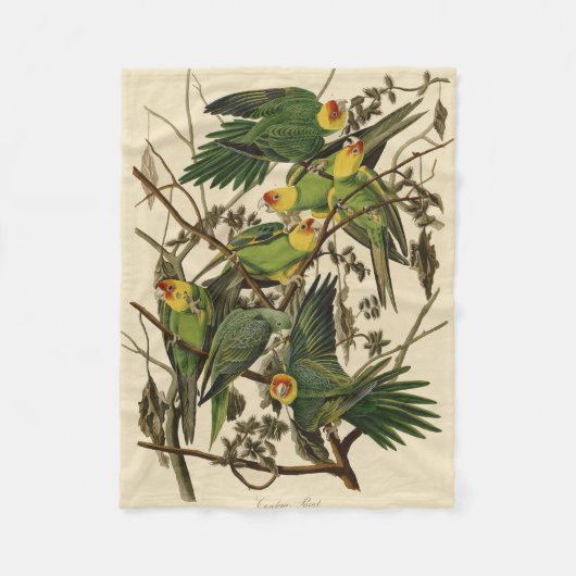 Audubon Carolina Parrot Bird Illustration Fleecedecke (Vorderseite)