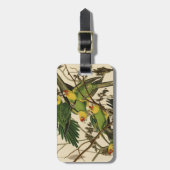 Audubon Carolina Parrot Bird Illustration Gepäckanhänger (Vorderseite vertikal)