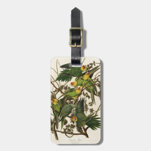 Audubon Carolina Parrot Bird Illustration Gepäckanhänger