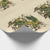 Audubon Carolina Parrot Bird Illustration Geschenkpapier (Ecke)
