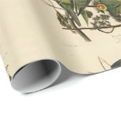 Audubon Carolina Parrot Bird Illustration Geschenkpapier (Rolleneckpunkt)