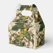 Audubon Carolina Parrot Bird Illustration Geschenkschachtel (Vorderseite)