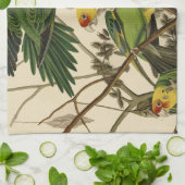 Audubon Carolina Parrot Bird Illustration Handtuch (Gefaltet)
