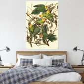 Audubon Carolina Parrot Bird Illustration Leinwanddruck (Insitu (Schlafzimmer))