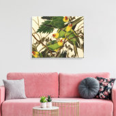Audubon Carolina Parrot Bird Illustration Leinwanddruck (Insitu (Wohnzimmer))