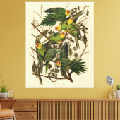 Audubon Carolina Parrot Bird Illustration Leinwanddruck (Insitu (Wohnzimmer))