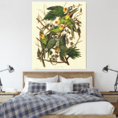 Audubon Carolina Parrot Bird Illustration Leinwanddruck (Insitu (Schlafzimmer))
