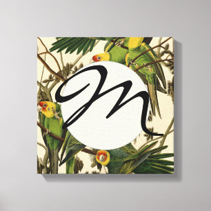 Audubon Carolina Parrot Bird Illustration Leinwanddruck