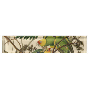 Audubon Carolina Parrot Bird Illustration Namensplakette
