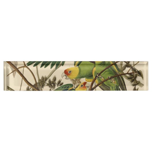 Audubon Carolina Parrot Bird Illustration Namensplakette (Vorderseite)