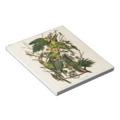 Audubon Carolina Parrot Bird Illustration Notizblock (angewinkelt)