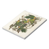 Audubon Carolina Parrot Bird Illustration Notizblock (Rotiert)