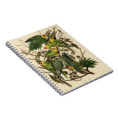 Audubon Carolina Parrot Bird Illustration Notizblock (Rechte Seite)