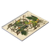 Audubon Carolina Parrot Bird Illustration Notizblock (Linke Seite)