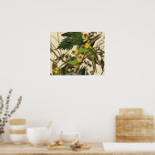 Audubon Carolina Parrot Bird Illustration Poster (Küche)