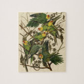 Audubon Carolina Parrot Bird Illustration Puzzle (Vertikal)