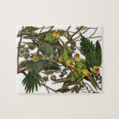 Audubon Carolina Parrot Bird Illustration Puzzle (Horizontal)