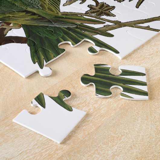 Audubon Carolina Parrot Bird Illustration Puzzle (Seite)