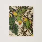 Audubon Carolina Parrot Bird Illustration Puzzle (Vertikal)