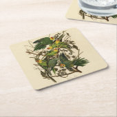 Audubon Carolina Parrot Bird Illustration Rechteckiger Pappuntersetzer (angewinkelt)