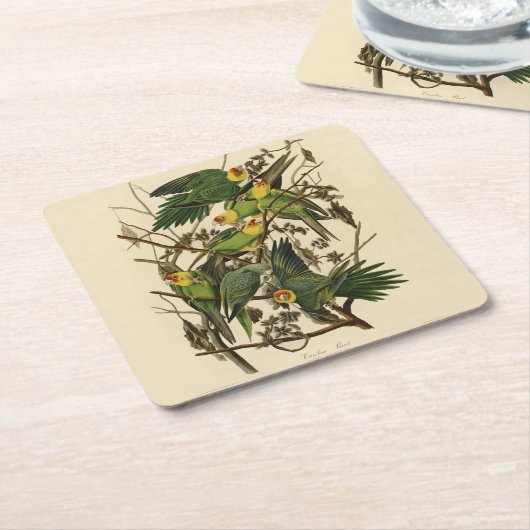 Audubon Carolina Parrot Bird Illustration Rechteckiger Pappuntersetzer (angewinkelt)