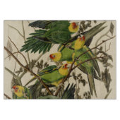 Audubon Carolina Parrot Bird Illustration Schneidebrett (Vorderseite)