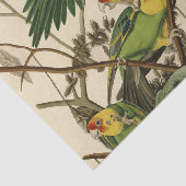 Audubon Carolina Parrot Bird Illustration Seidenpapier (Ausschnitt)