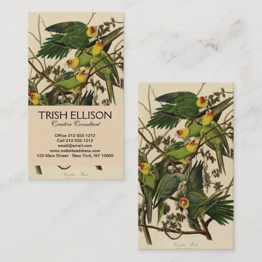 Audubon Carolina Parrot Bird Illustration Visitenkarte (Vorne/Hinten)