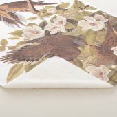 Audubon Carolina Turtle Dove Sherpadecke (3/4)