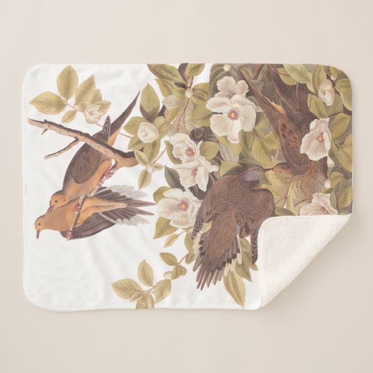 Audubon Carolina Turtle Dove Sherpadecke (Vorderseite (Horizontal))