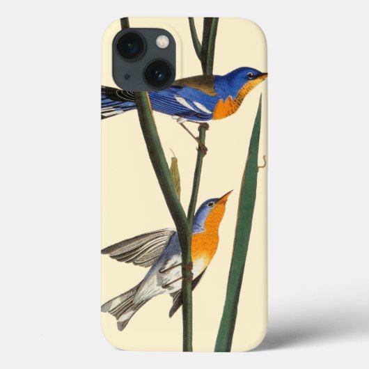 Audubon Case-Mate iPhone Hülle (Rückseite)