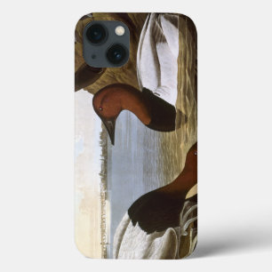 Audubon Case-Mate iPhone Hülle