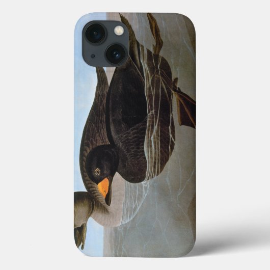 Audubon Case-Mate iPhone Hülle (Rückseite)