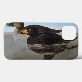 Audubon Case-Mate iPhone Hülle (Rückseite (Horizontal))