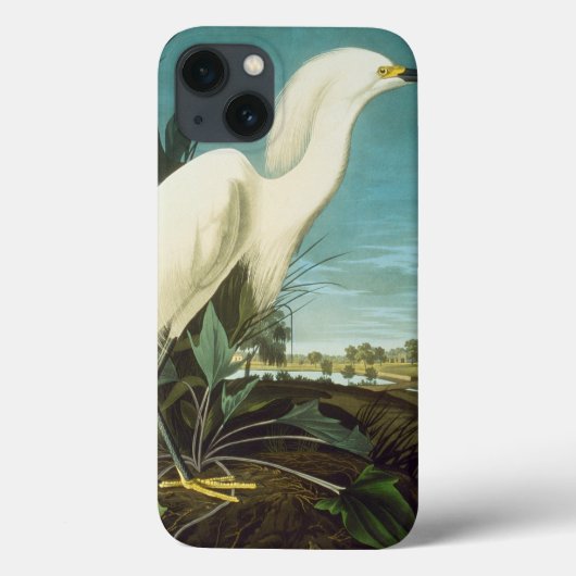 Audubon Case-Mate iPhone Hülle (Rückseite)