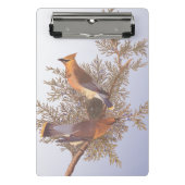 Audubon Cedar Waxwing Bird auf Evergreen Junior Mini Klemmbrett (Vorderseite)