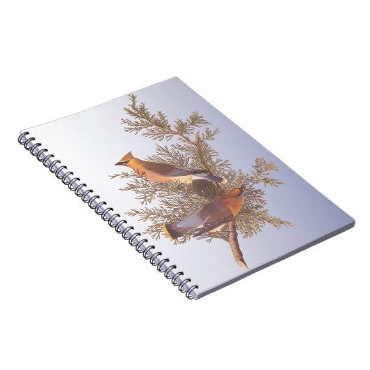 Audubon Cedar Waxwing Bird auf Evergreen Junior Notizblock (Rechte Seite)